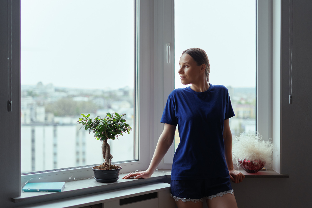 Bloomington Bay & Bow Windows